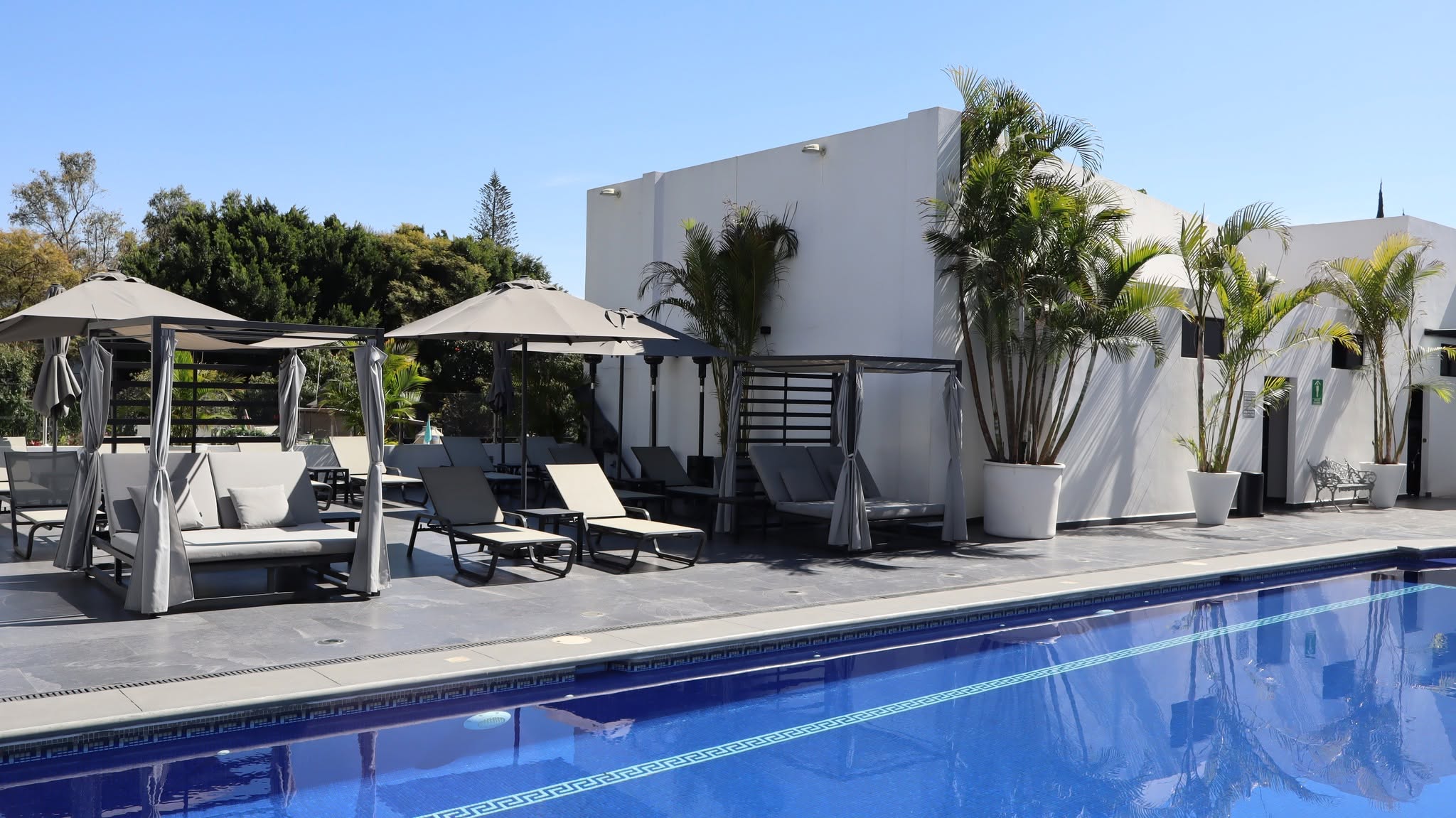 At Casa Tabachin in Cuernavaca, a blue pool borders gray loungers, cabanas and tall palms beside white walls.
